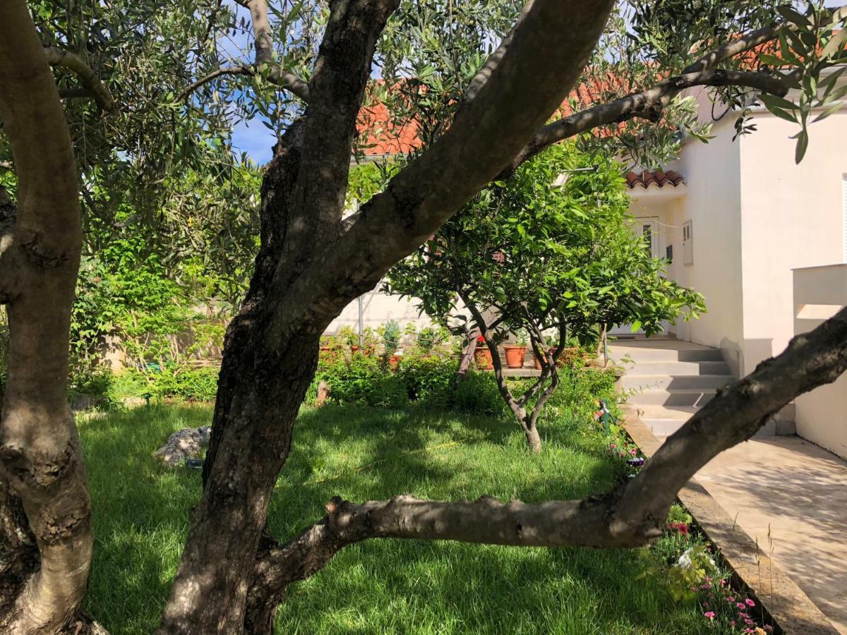 Roses Apartment Lukoran Dış mekan fotoğraf