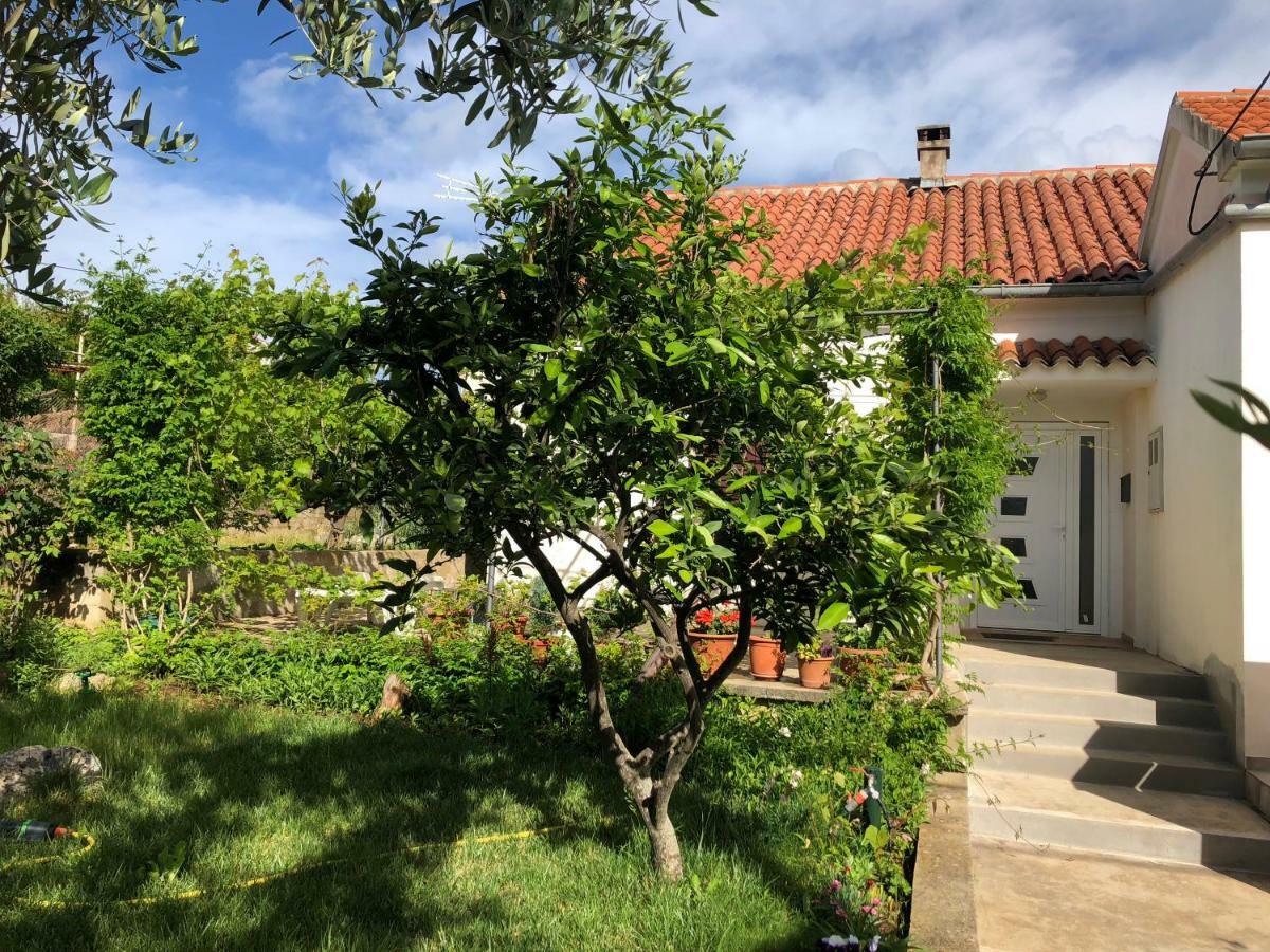 Roses Apartment Lukoran Dış mekan fotoğraf