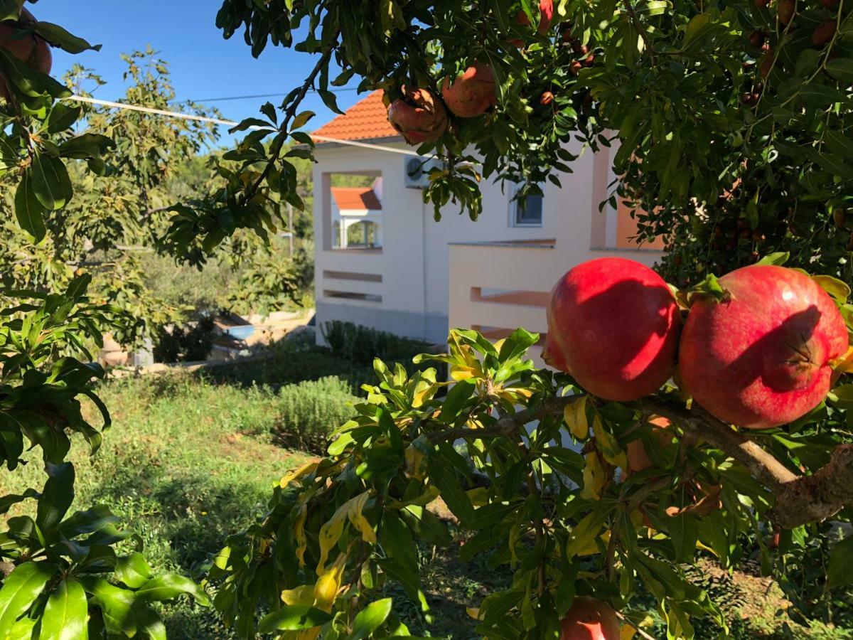 Roses Apartment Lukoran Dış mekan fotoğraf