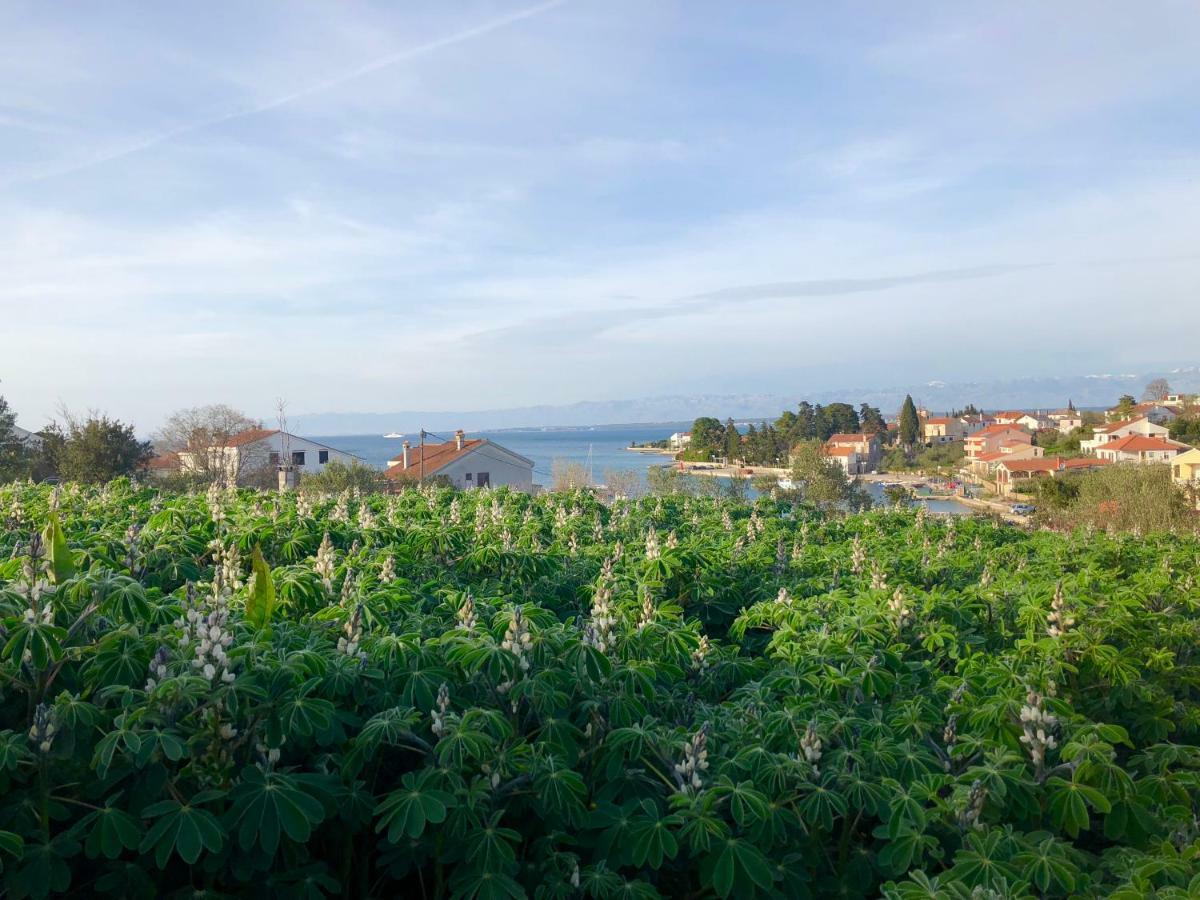 Roses Apartment Lukoran Dış mekan fotoğraf