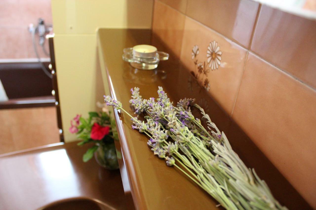 Roses Apartment Lukoran Dış mekan fotoğraf